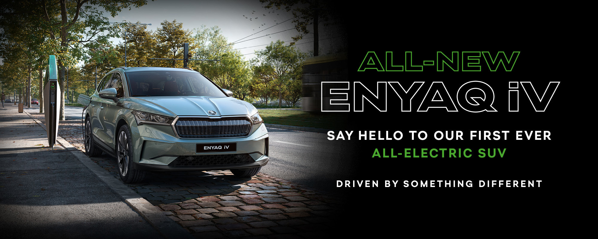 'New Car' Homepage Banner (1)